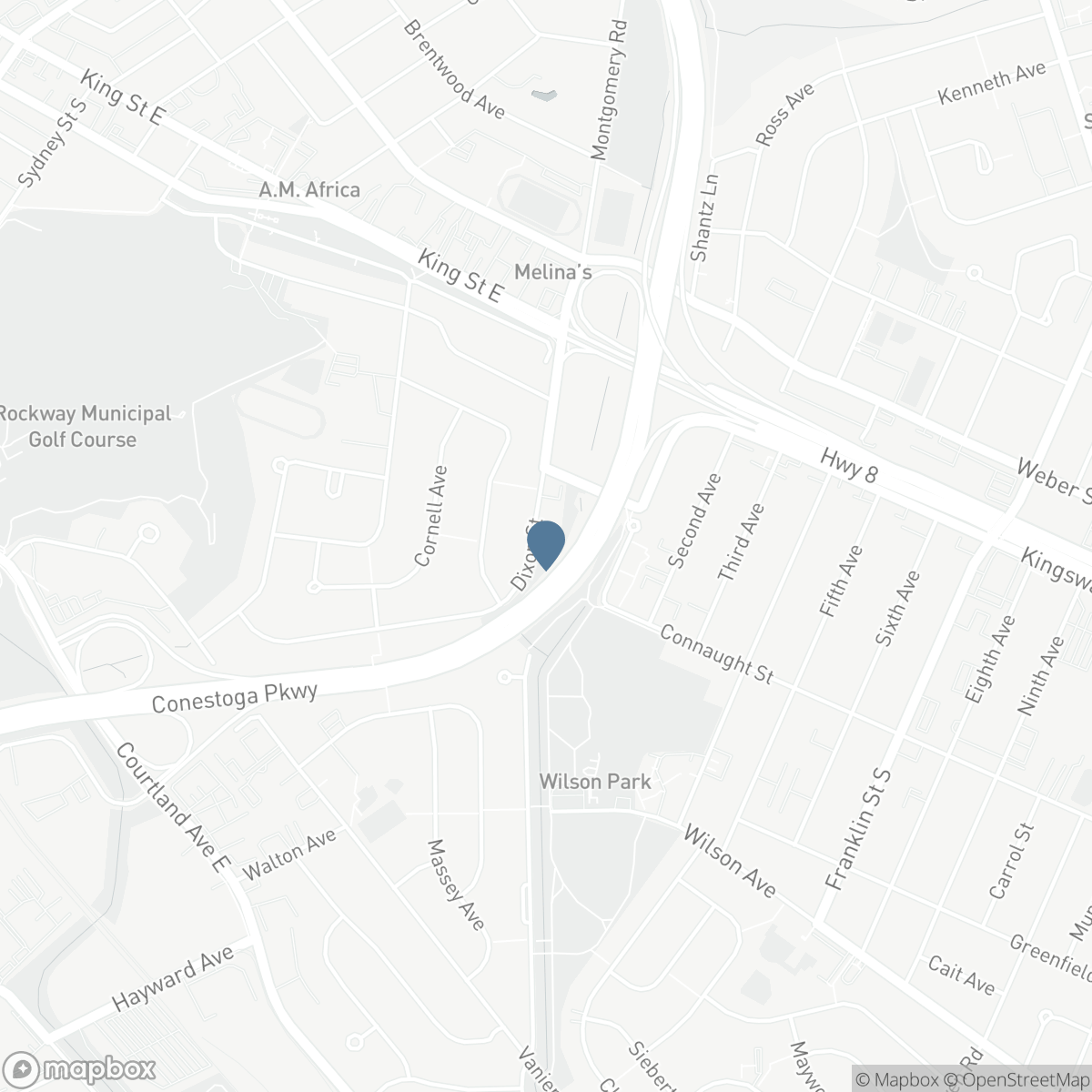 119 DIXON STREET, Kitchener, Ontario N2G 3E8